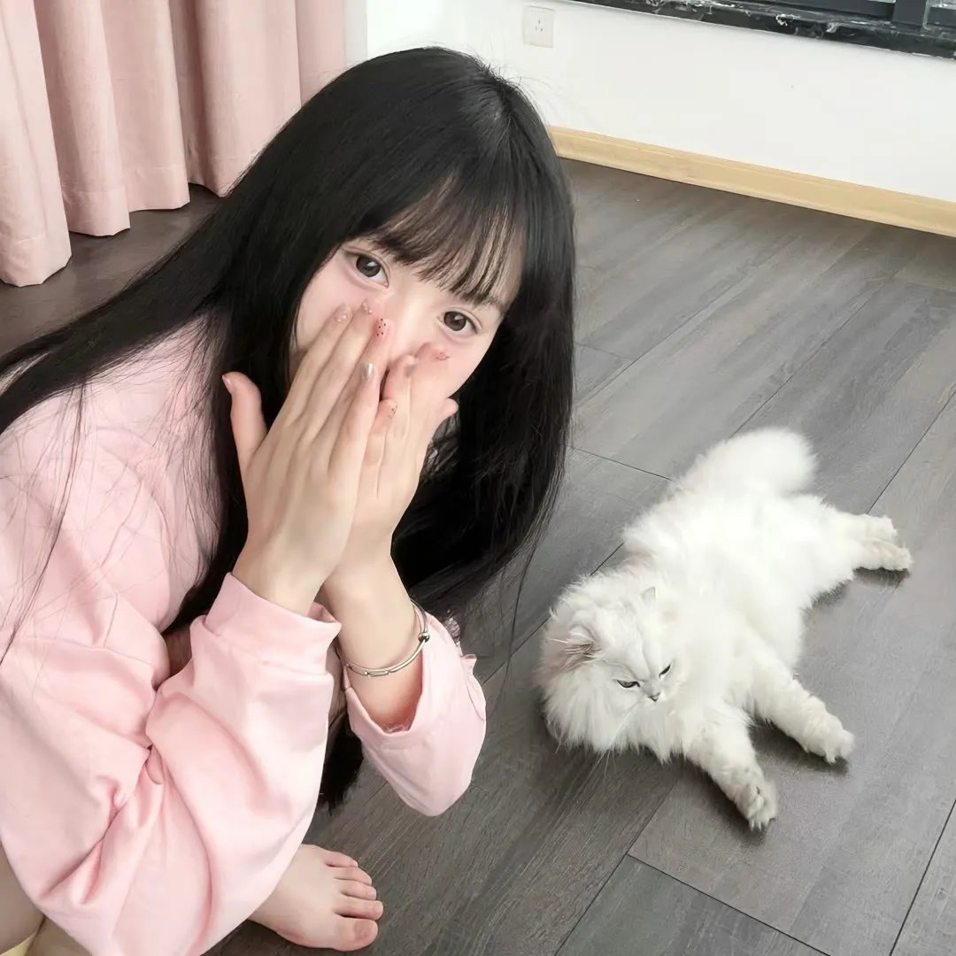 四眼天鸡